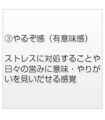 【3】やるぞ感（有意味感）ストレスに対処することや日々の営みに意味・やりがいを見いだせる感覚